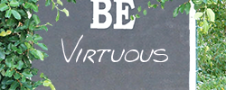 Virtue is Actually Doing It 2