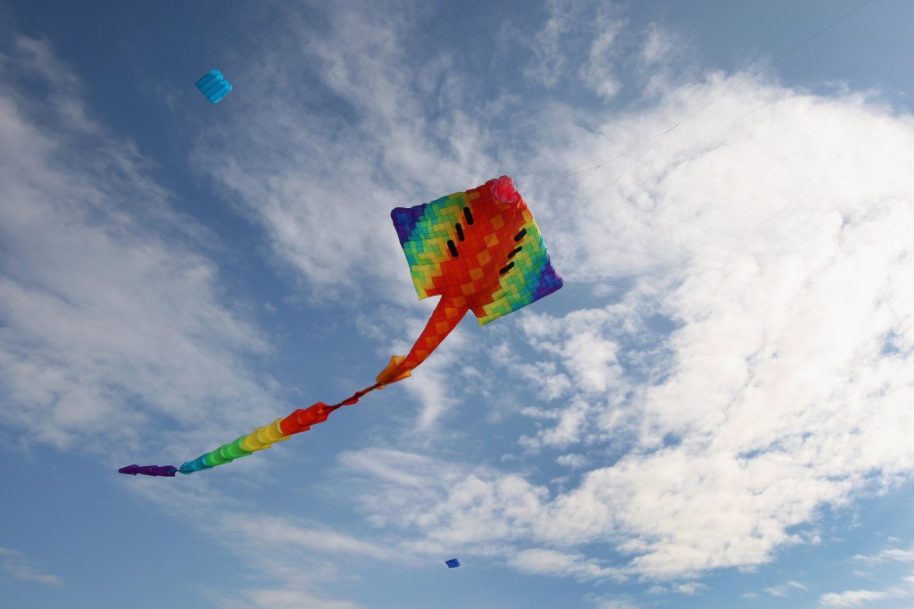 Flying kites 3 grade презентация