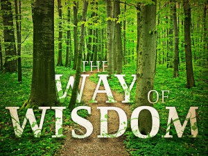 wayofwisdom