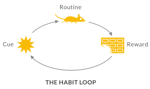 5 habit loop