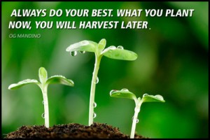 always-do-your-best-what-you-plant-now-you-will-harvest-later-og-400x400-imae2ffnmdtmycaf
