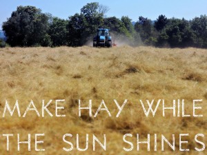 1380760274_Make-hay-while-the-sun-shines-300x225.jpg