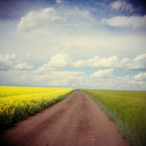 a-straight-long-path-with-fields-on-both-sides-amazing-path-pictures-and-photos1