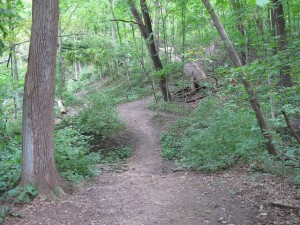 rock-cut-state-park-5-best-day-hikes-near-chicago-600x450