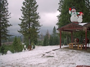2010_smart-christmas-trees_snow