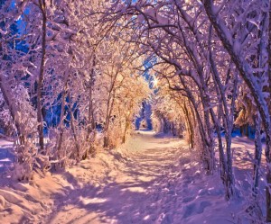 Christmas-Pathway-Lights-Walmart-1024x853