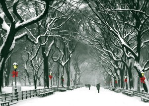 central-park-snowy-path-at-christmas-elaine-plesser