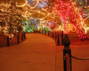 christmas-christmas-lights-lights-path-walkway-Favim.com-89030