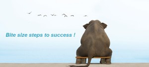 Bite-size-to-success-600x270