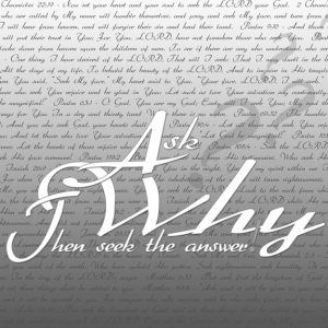 ask_why__then____by_madetobeunique-d363mbd-575x575