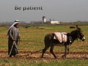 james 5 patience 12 palistinian farmer
