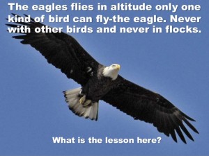 14-principles-from-eagle-geese-video-version-4-638