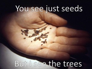 You-See-Seeds-but-I-See-the-Trees