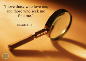 proverbs-8v17