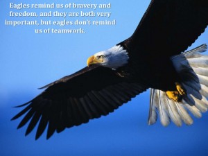 the-7-principles-of-teamwork-from-geese-2-728