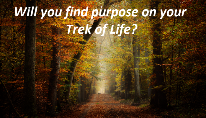 Day 281 – Principles Of Spiritual Growth – Purpose #2 - Wisdom-Trek