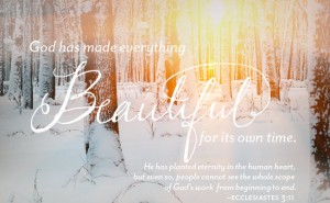 EverythingBeautiful-Ecc3-11-incourage