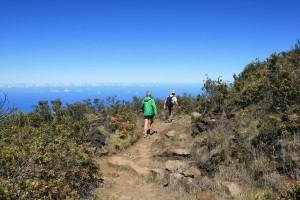 haleakala-10-12-12-near-the-trailhead