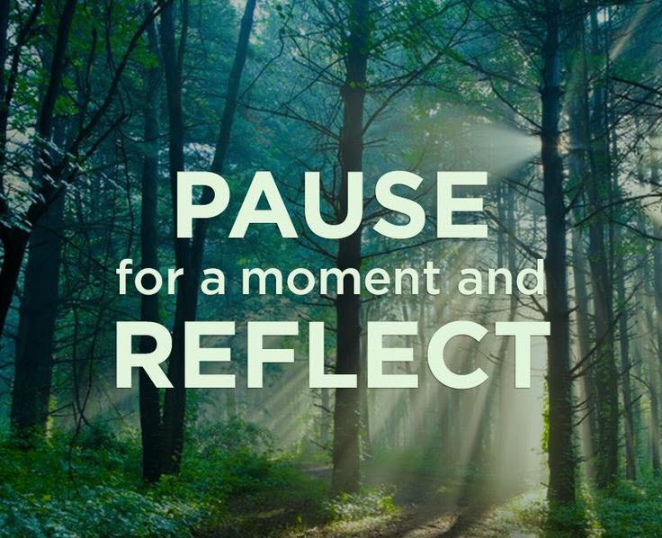 56386-pause-and-reflect-quotes - Wisdom-Trek ©