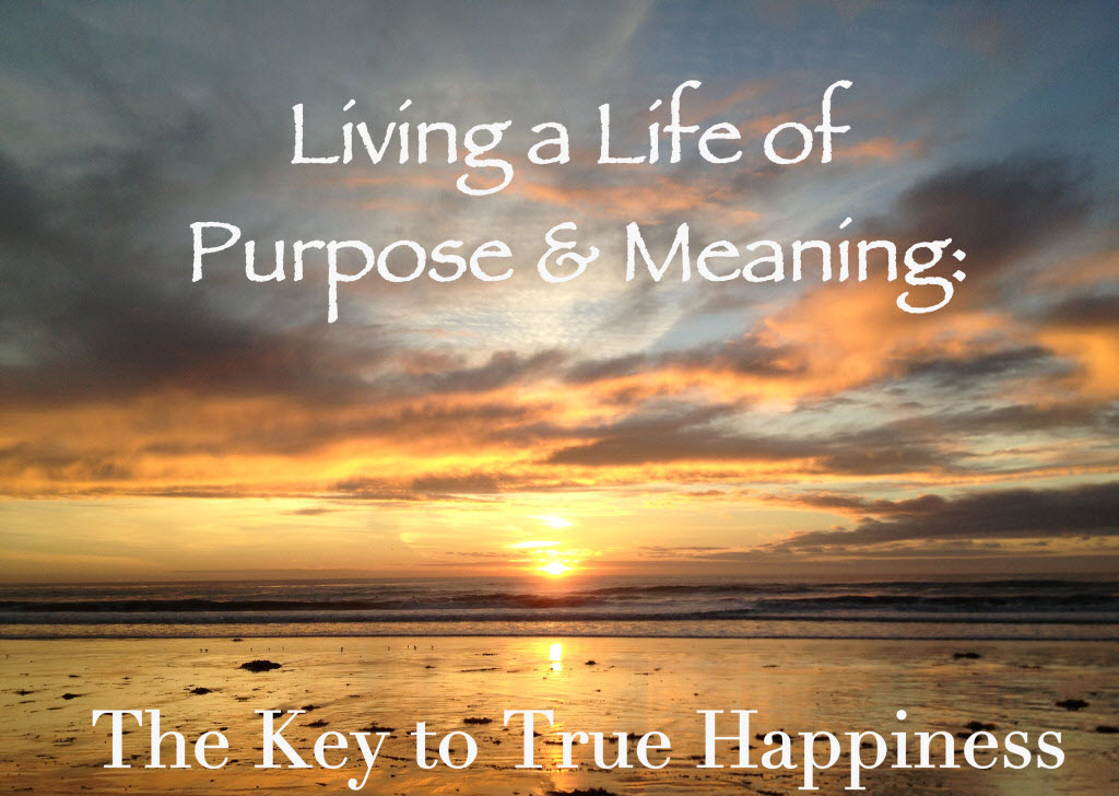 living life with a purpose essay