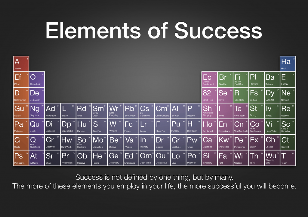 the-elements-of-success_50291a6875ded