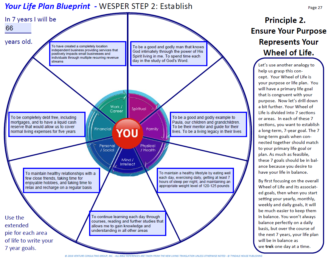 wheel of life example