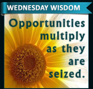 Wednesday-Wisdom-111