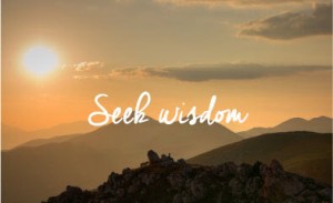 Seek-Wisdom2 instead of gold