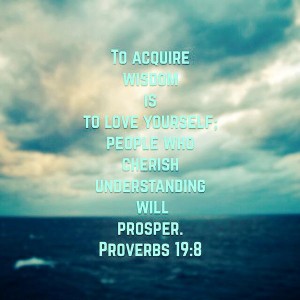 Acquire Wisdom