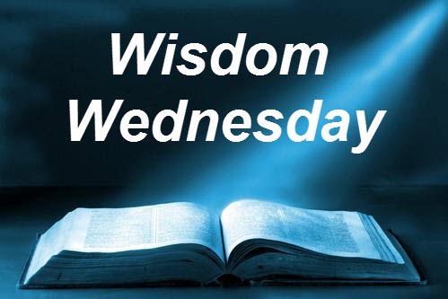 Day 511 – A Lying Tongue Hates Its Victims – Proverbs 26:15-28 - Wisdom ...