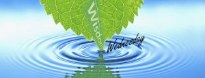 wisdom-Wednesday-advice Purpose