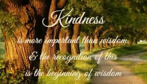 Be Kind - kindness-is-more-important-than-wisdom