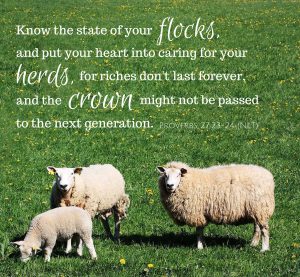 Know the state of your flocks