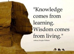 quotes about knowledge and wisdom