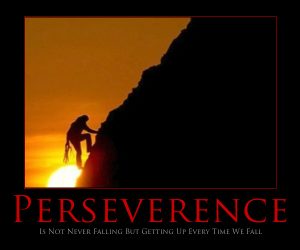 Perseverance 3
