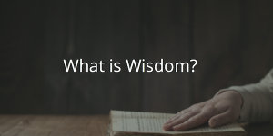 Purpose of Wisdom 3