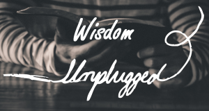 Ultimate Love Wisdom-Unplugged-Perfection-300x160