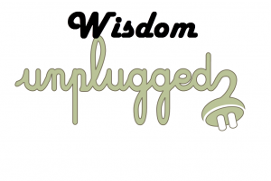 Wisdom Unplugged - Experience