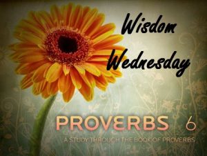 Wisdom Wednesday - Don't be a Fool