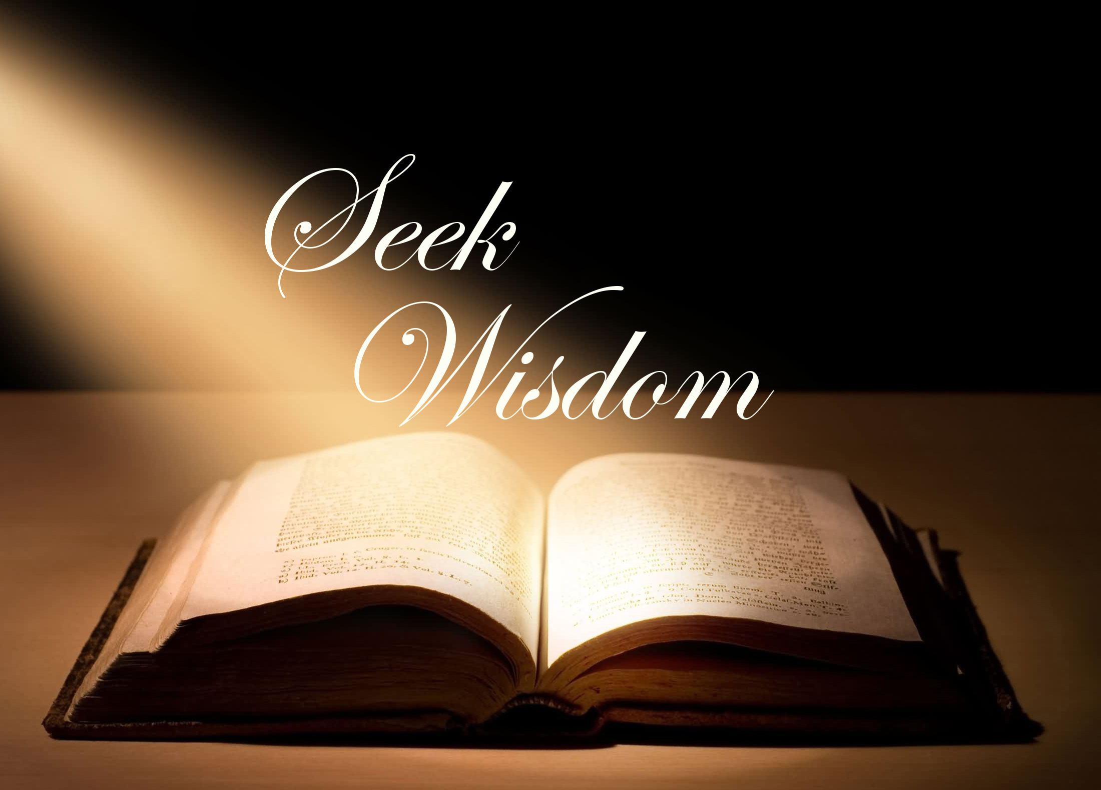 What Is The Wisdom Of The World