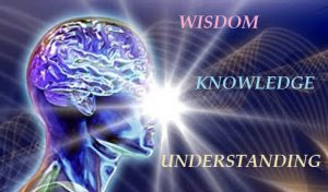 Wisdom Before Knowledge 3