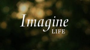 IMAGINE LIFE AS IT COULD BE 5