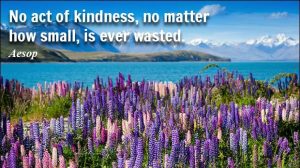 Kindness Shows Wisdom 4