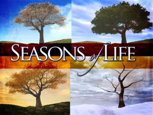 The Seasons of Life 4