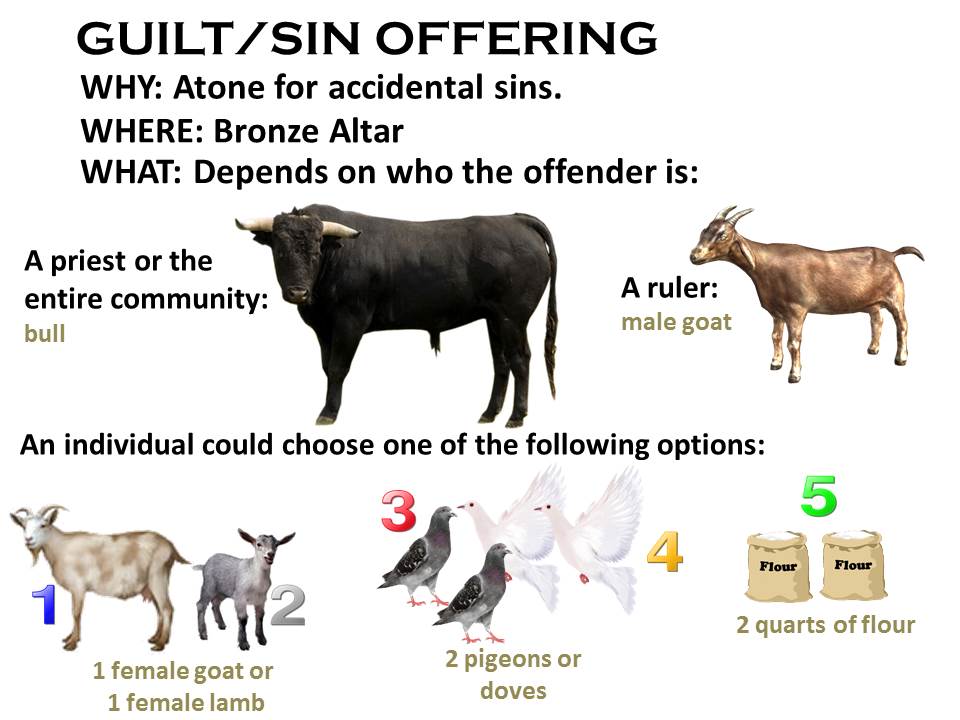 sin-offerings-vs-forgiveness-2-wisdom-trek