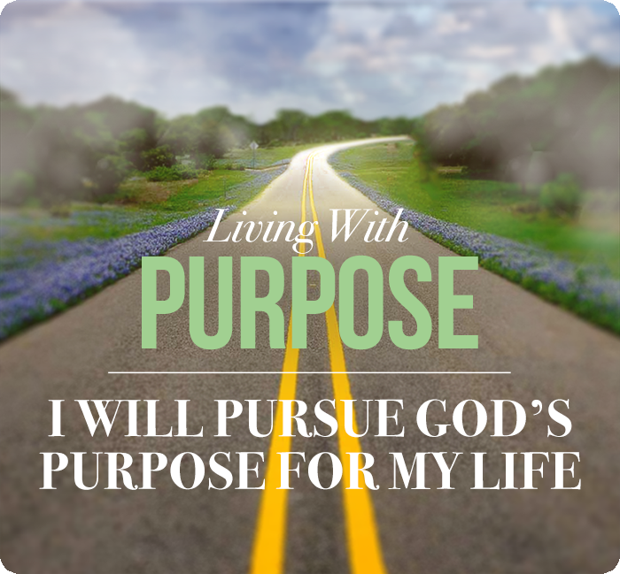 Day 1279 – Purpose That Brings Meaning to Life – Meditation Monday ...