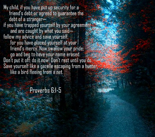 Day 2046 The Book Of Proverbs Chapter 6 Daily Wisdom Wisdom Trek